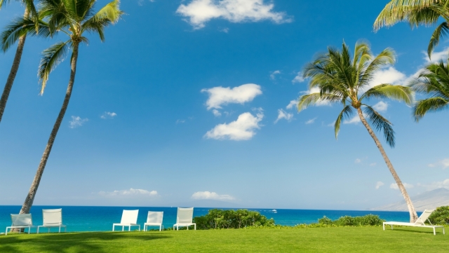 �����ʦ������